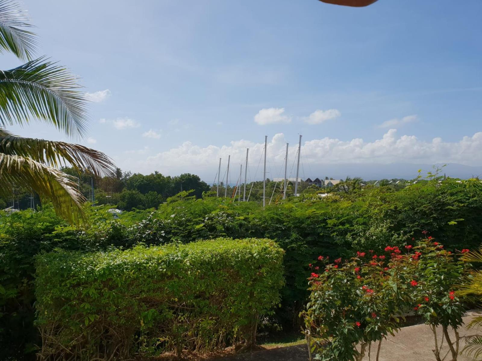 Ravissant Studio Marina Gosier Le Gosier  Exterior foto